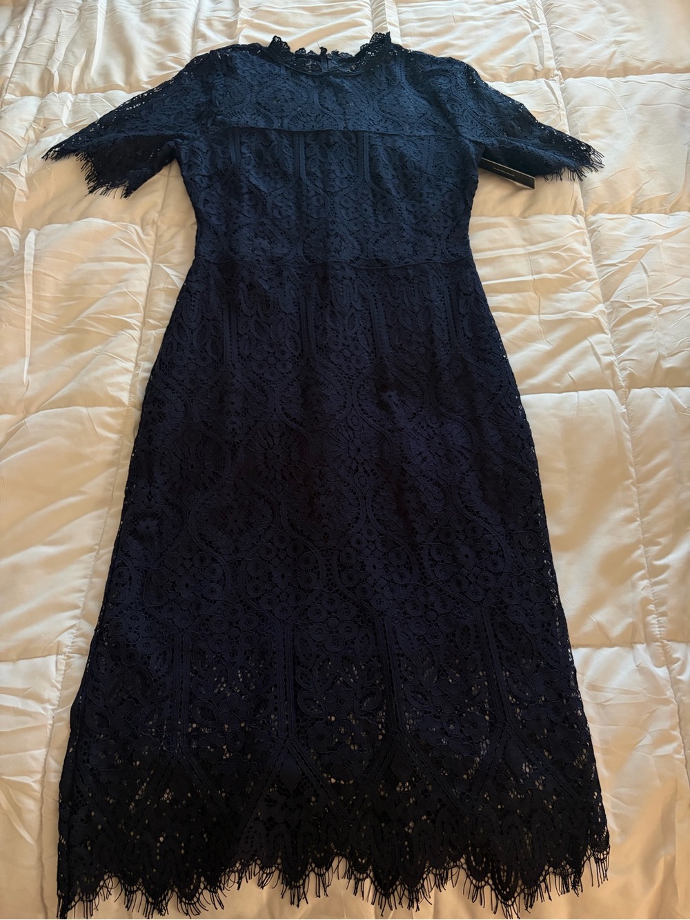 Lulu's Navy Lace Midi Dress with Scalloped Hem